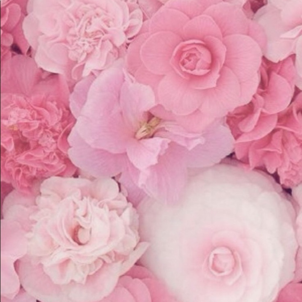 Meet your Posher, Raina